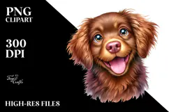 Cute Chesapeake Bay Retriever PNG Product Image 2