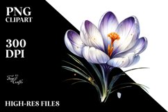 Shiny Crocus Golden Insertions | Clipart Product Image 3
