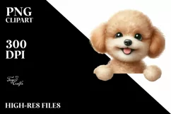 Funny Baby Poodle Smiling | Watercolor Splash Product Image 3