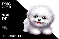 Cute Baby Bichon Frise with Big Eyes, Transparent PNG Product Image 2