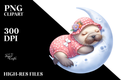 Vibrant Baby Walrus Sleeping | Clipart Product Image 2