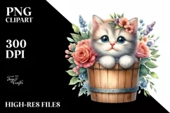 Cute Baby Cat in Bucket with Flowers Product Image 3
