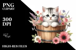 Cute Baby Cat in Bucket with Flowers Product Image 1