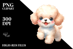 Expressive Poodle PNG Product Image 2