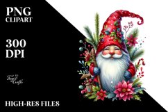 Detailed Vibrant Christmas Gnome Product Image 3
