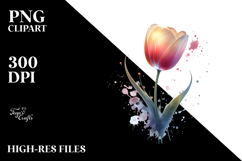 Elegant Tulip, Watercolor PNG Product Image 2