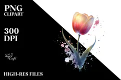 Elegant Tulip, Watercolor PNG Product Image 2