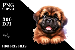 Cheerful Baby Bullmastiff, Transparent PNG Product Image 2