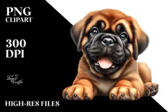 Baby Bullmastiff with Big Eyes PNG Product Image 2