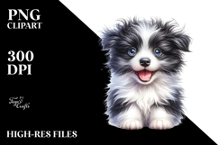 Cute Border Collie with Crazy Fur PNG Product Image 2