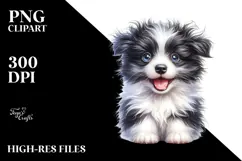Cute Border Collie with Crazy Fur PNG Product Image 2