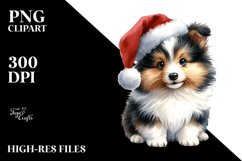 Expressive Shetland Sheepdog PNG Product Image 3