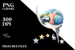 Pastel Macaw Sleeping on Moon | Sublimation | Clipart Product Image 2
