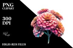 Zinnia, PNG Product Image 2