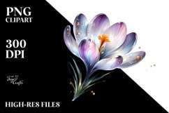 Lively Crocus Clipart Set Product Image 1