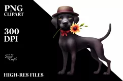 Proud Labrador Hat Sublimation Clipart Product Image 1