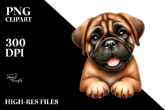 Cute Bullmastiff PNG Product Image 2
