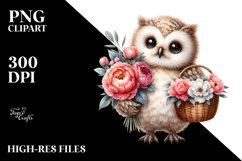 Detailed Boho Baby Owl Peonies | Sublimation | Clipart Product Image 1