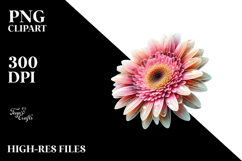 Gerbera with Metallic Insertions PNG Product Image 2