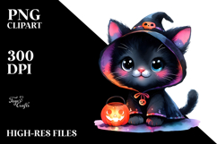 Vibrant Baby Black Cat Product Image 2