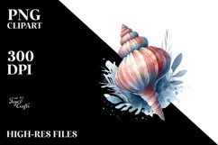 Sea Schell Watercolor Sublimation Clipart Product Image 3
