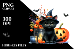 Vibrant Baby Cat Drawing | Clipart Product Image 2