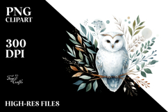 Simple Watercolor Owl, Transparent PNG Product Image 2