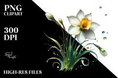 Daffodil Material PNG Product Image 2