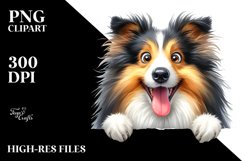 Crazy Collie, Watercolor Clipart Product Image 3