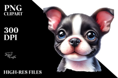 Happy Baby Boston Terrier Product Image 2