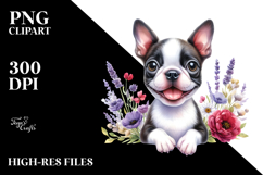Happy Baby Boston Terrier Product Image 2