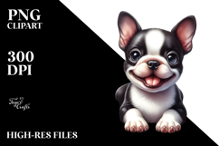 Happy Baby Boston Terrier Product Image 2