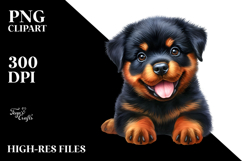 Cute Baby Rottweiler with Big Eyes PNG Product Image 2