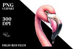 Sublimation|Clipart Product Image 1