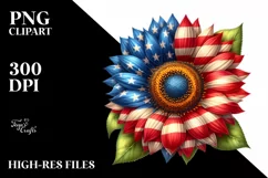 American Flag USA, 4th July, Patriotic Clipart Product Image 7