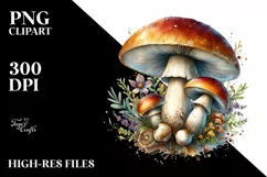 mushroom watercolor splash PNG Product Image 1