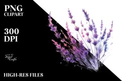 Lavender | Sublimation | Clipart Product Image 3