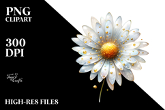 Material Daisy Watercolor Splash PNG Product Image 2