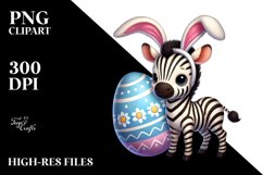 Cute Baby Zebra PNG Product Image 2