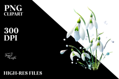 -Like Snowdrop, High-Quality PNG Product Image 2