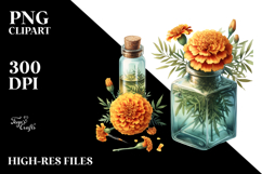Bottle with Large Marigold Product Image 2
