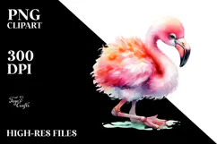 Funny Baby Flamingo Clipart | Sublimation Product Image 2