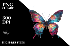 Colorful Grungy Butterfly PNG Product Image 2