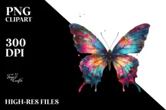 Colorful Grungy Butterfly PNG Product Image 2