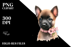 Expressive Baby Malinois, PNG Product Image 2