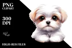 Expressive Watercolor Baby Maltese PNG Product Image 2