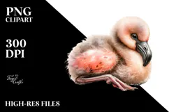Digital Baby Flamingo, Watercolor Design Product Image 2