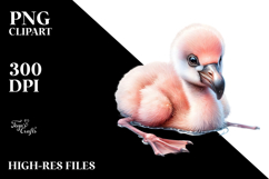 Digital Baby Flamingo, Watercolor Design Product Image 2