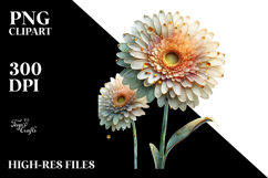 Gerbera Material PNG Product Image 2