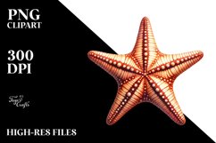 Sublimation|Clipart Product Image 3